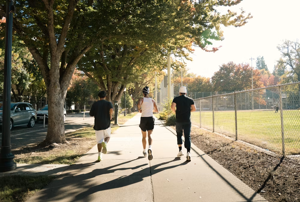 Regular exercise and movement